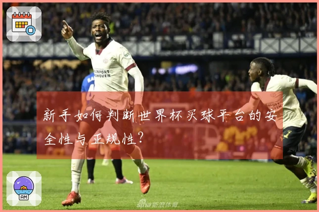 新手如何判断世界杯买球平台的安全性与正规性?